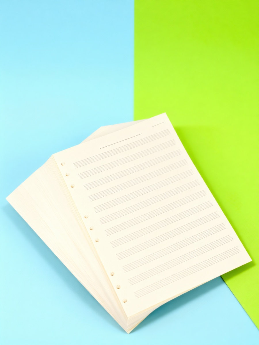 100 vellen muziekpapier, 5-lij - Blank Sheet Music Notebook recensie en prijs